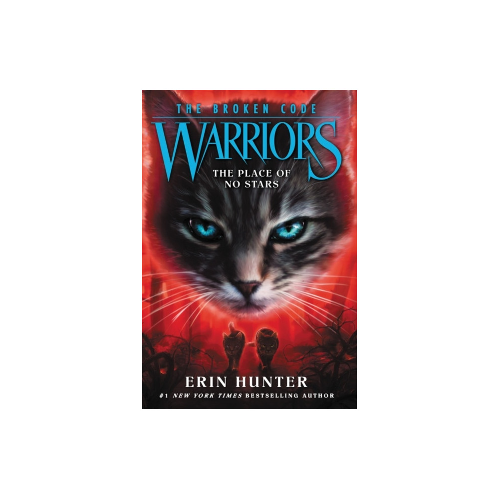 Produktbild för Warriors: The Broken Code #5: The Place of No Stars (häftad, eng)