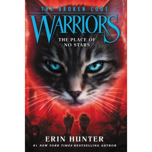 Harpercollins publishers inc Warriors: The Broken Code #5: The Place of No Stars (häftad, eng)