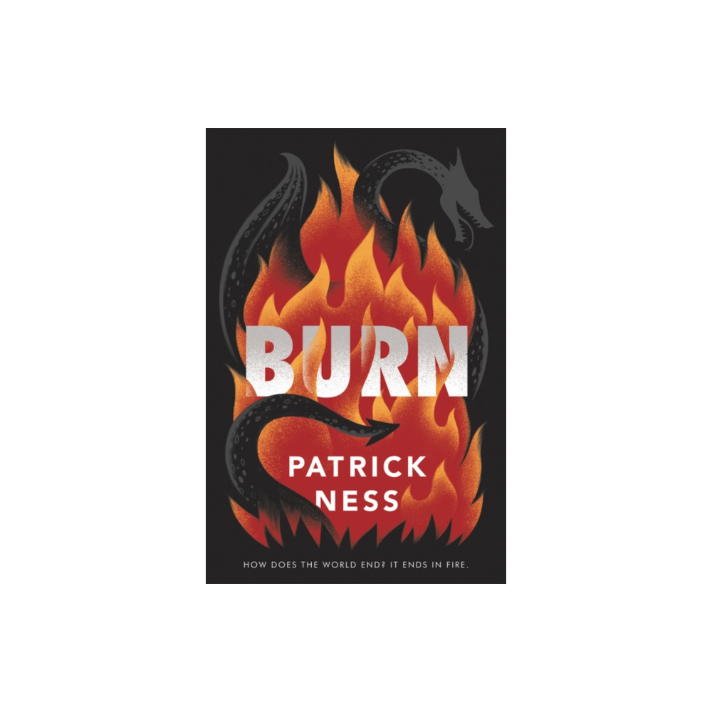 Produktbild för Burn (häftad, eng)