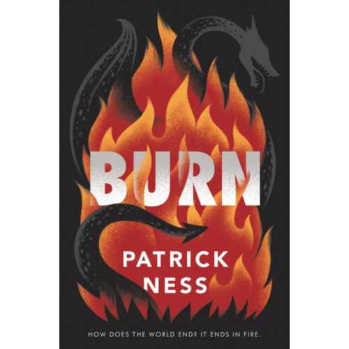 HarperCollins Burn (häftad, eng)