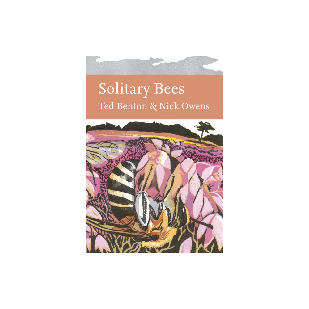 Produktbild för Solitary Bees (inbunden, eng)