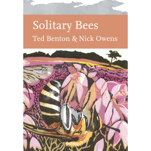 HarperCollins Publishers Solitary Bees (inbunden, eng)