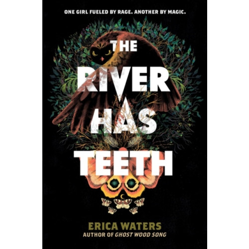 Harpercollins publishers inc The River Has Teeth (häftad, eng)