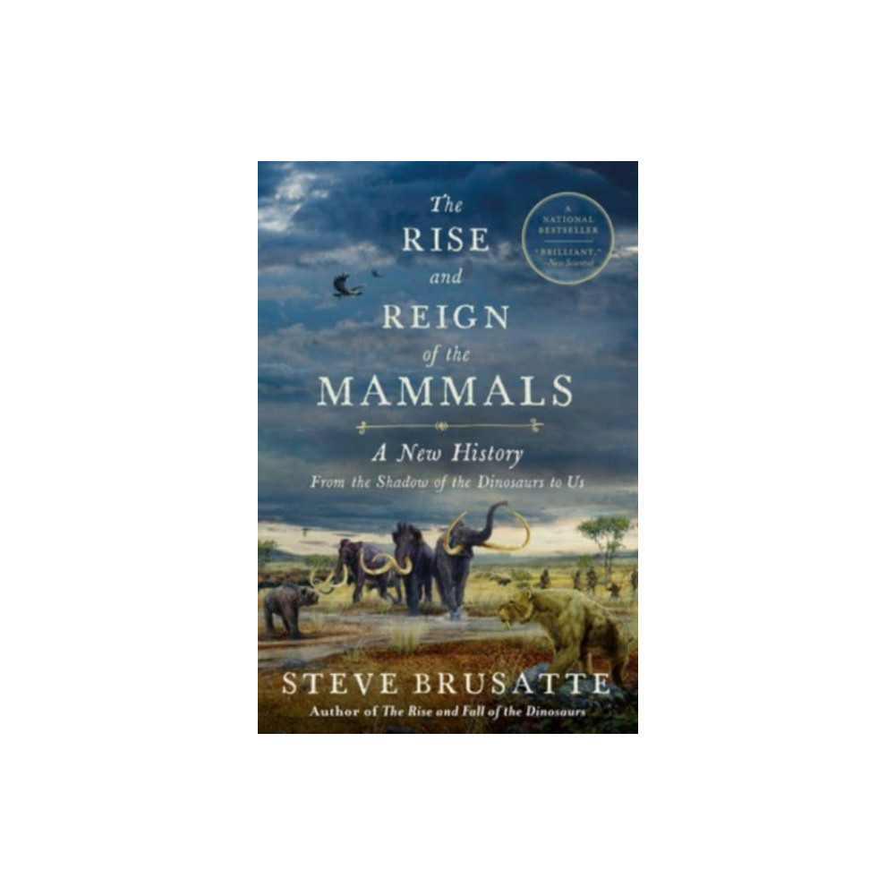 Produktbild för Rise and Reign of the Mammals (häftad, eng)