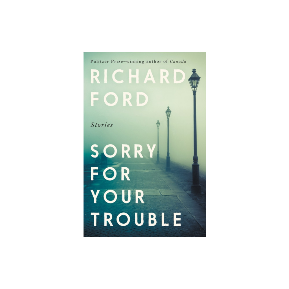 Produktbild för Sorry for Your Trouble (häftad, eng)