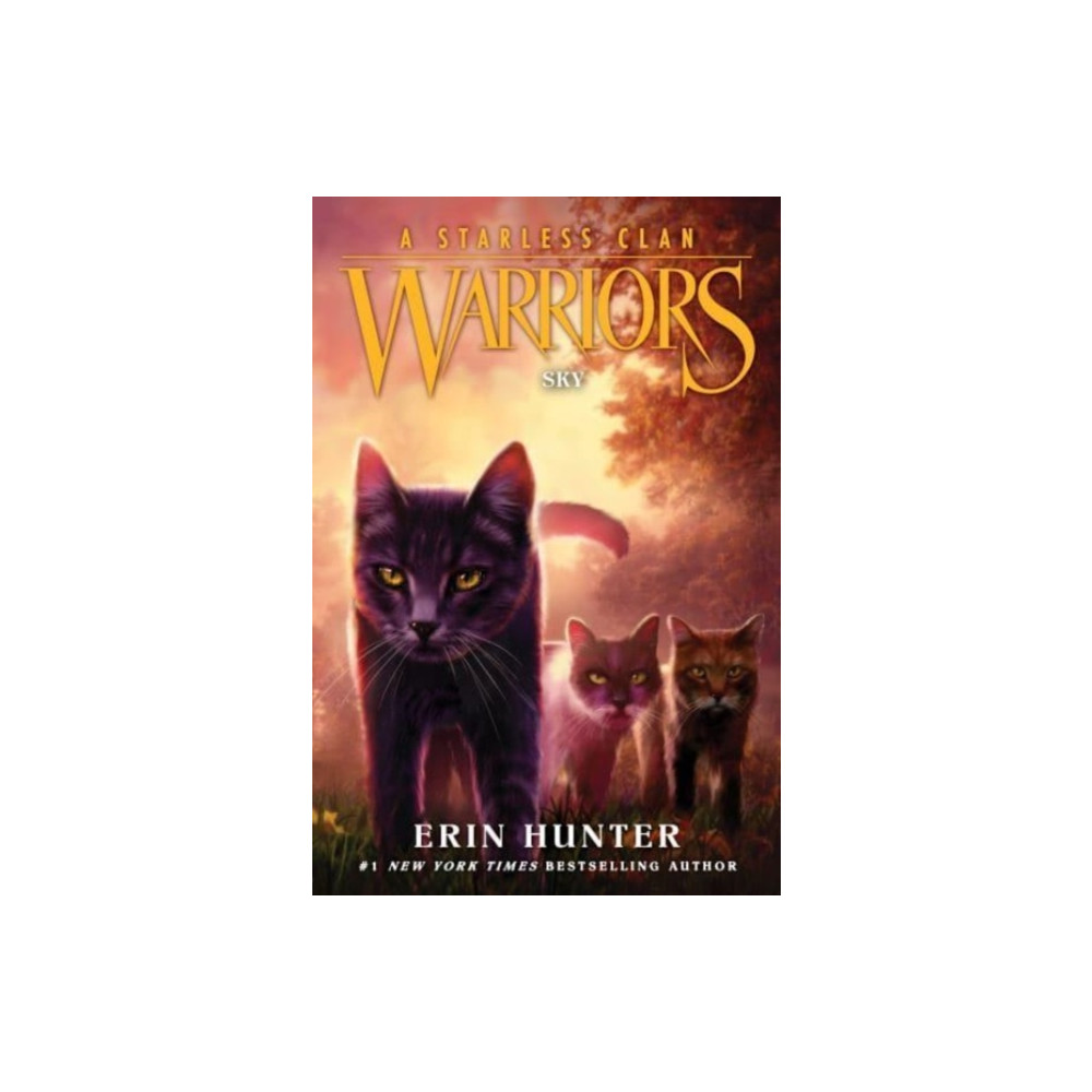 Produktbild för Warriors: A Starless Clan #2: Sky (häftad, eng)