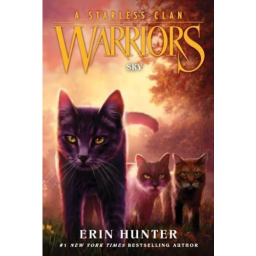 Harpercollins publishers inc Warriors: A Starless Clan #2: Sky (häftad, eng)