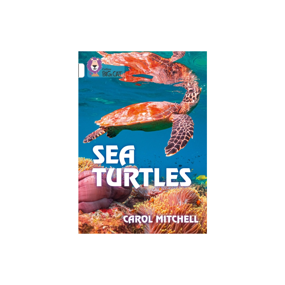 Produktbild för Sea Turtles (häftad, eng)