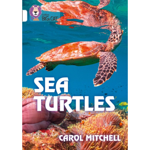 HarperCollins Publishers Sea Turtles (häftad, eng)