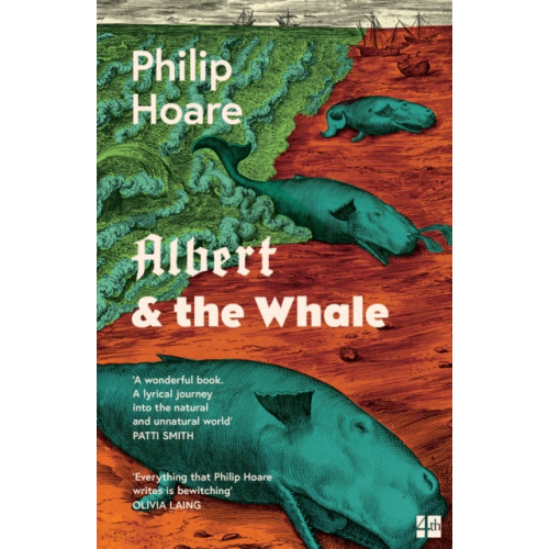 HarperCollins Publishers Albert & the Whale (häftad, eng)