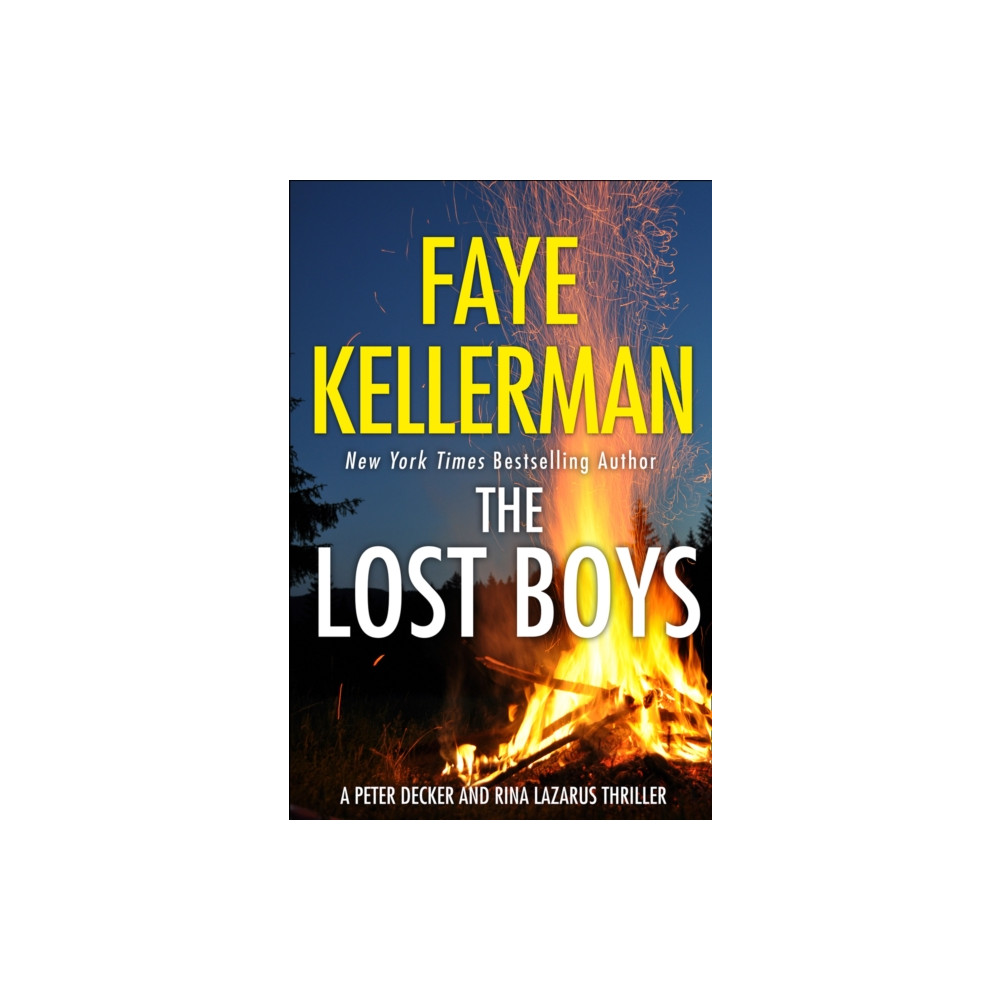 Produktbild för The Lost Boys (häftad, eng)
