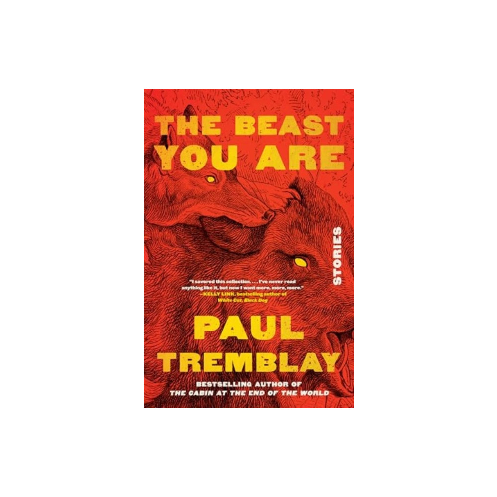 Produktbild för Beast You Are (häftad, eng)