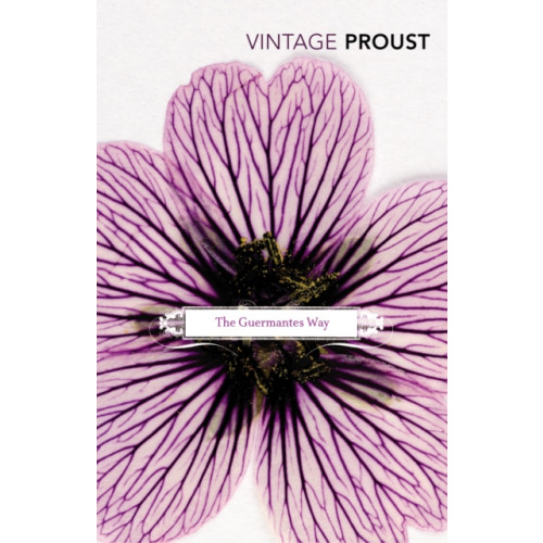 Vintage Publishing In Search of Lost Time, Vol 3 (häftad, eng)