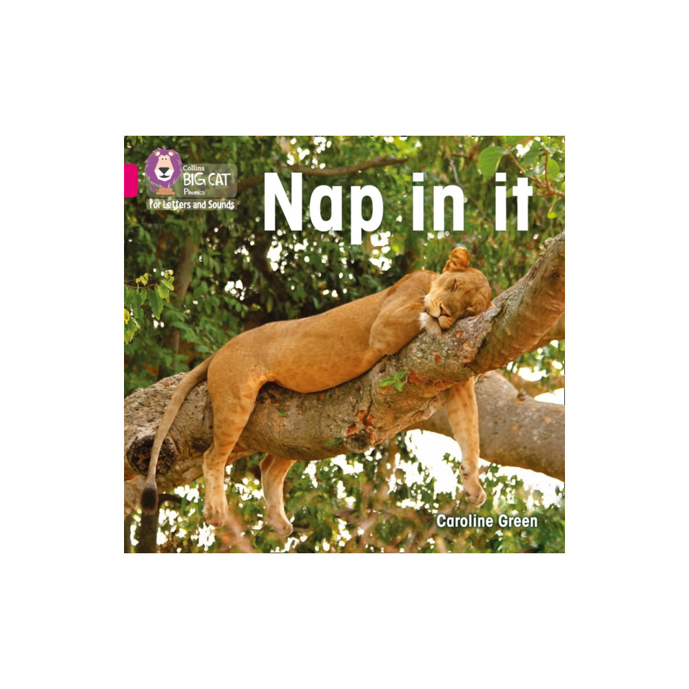 Produktbild för Nap in it (häftad, eng)