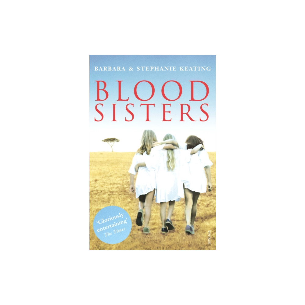 Produktbild för Blood Sisters (häftad, eng)