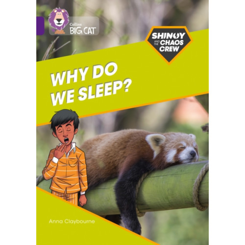 HarperCollins Publishers Shinoy and the Chaos Crew: Why do we sleep? (häftad, eng)