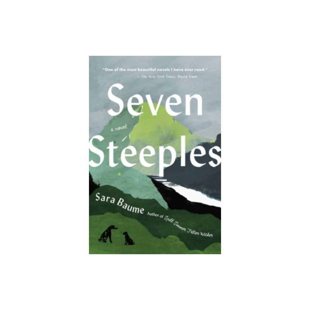 Produktbild för Seven Steeples (häftad, eng)