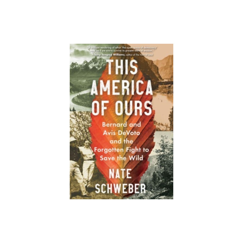 Produktbild för This America of Ours (häftad, eng)