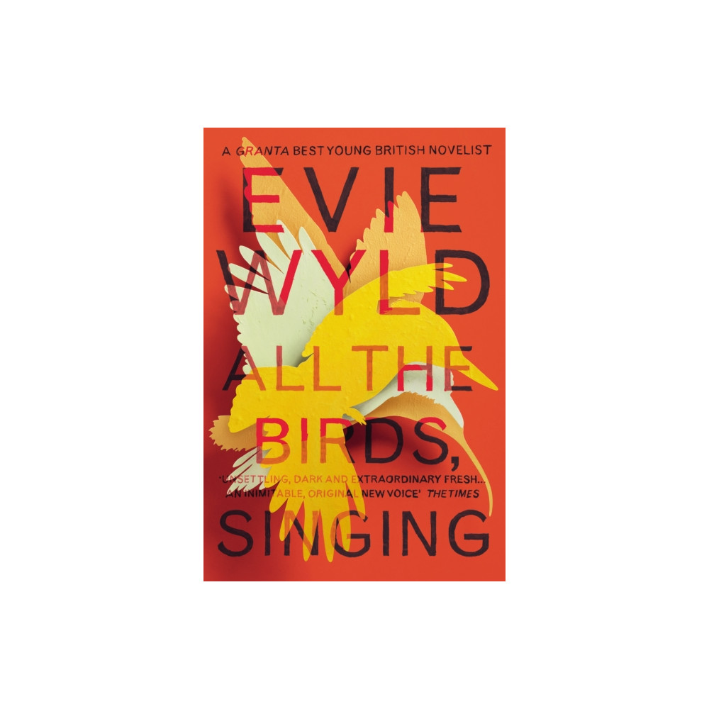 Produktbild för All the Birds, Singing (häftad, eng)