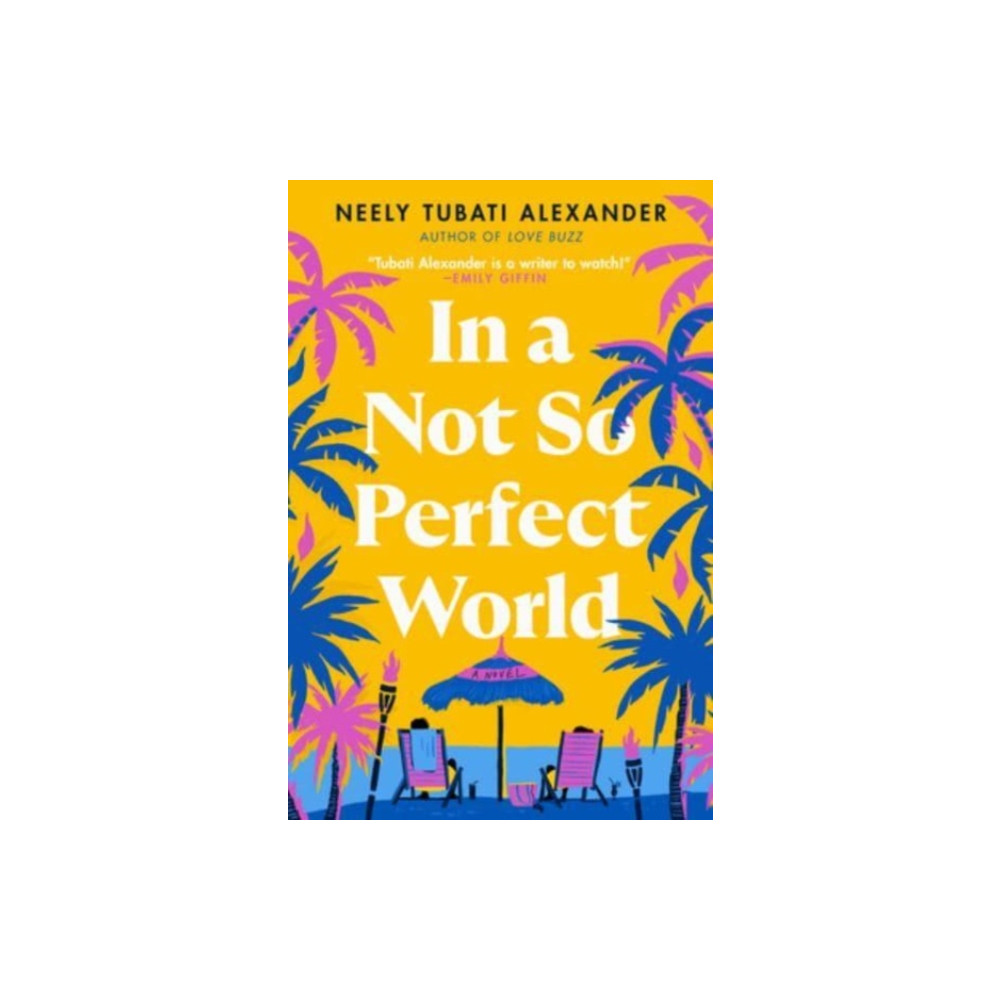 Produktbild för In a Not So Perfect World (häftad, eng)