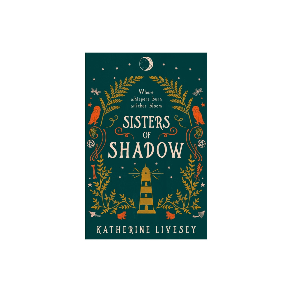 Produktbild för Sisters of Shadow (häftad, eng)
