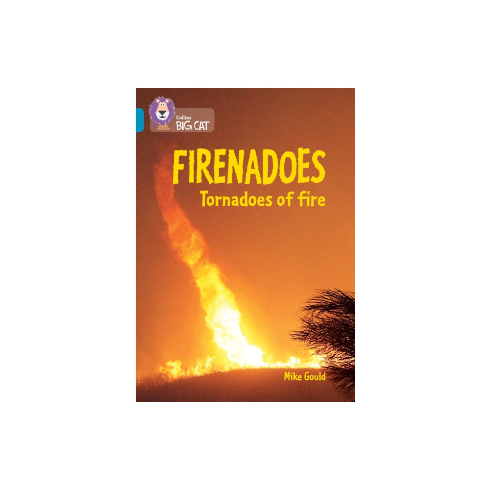 Produktbild för Firenadoes: Tornadoes of fire (häftad, eng)