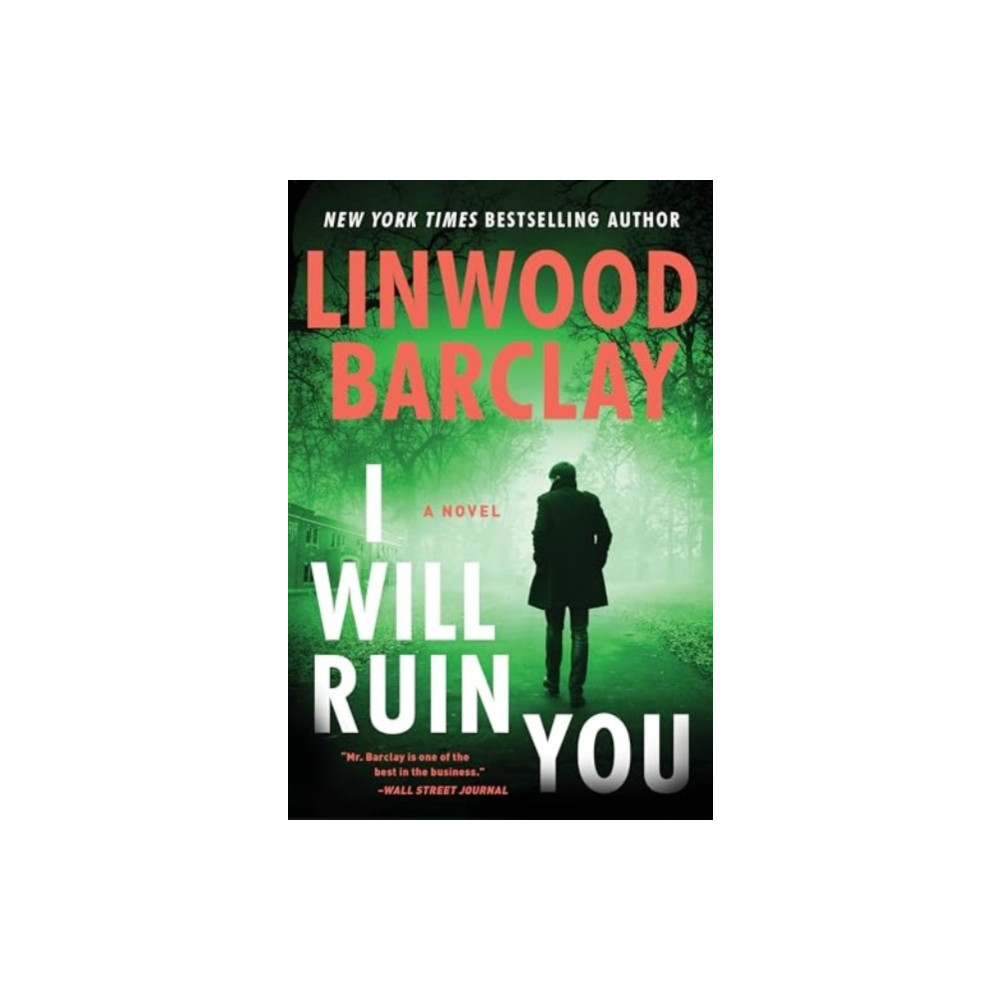 Produktbild för I Will Ruin You (häftad, eng)