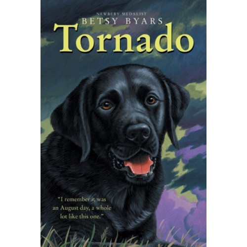 HarperCollins Tornado (häftad, eng)