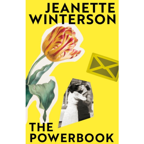 Vintage Publishing The Powerbook (häftad, eng)