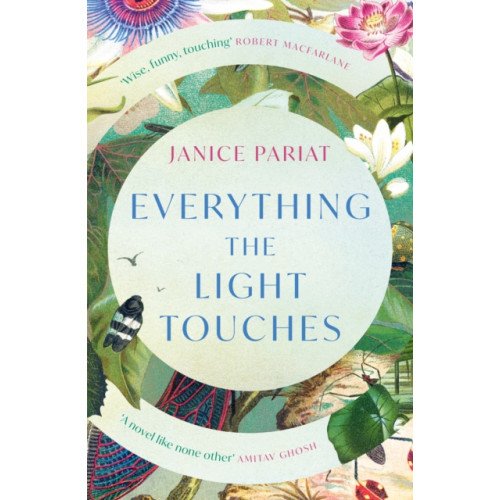 HarperCollins Publishers Everything the Light Touches (häftad, eng)