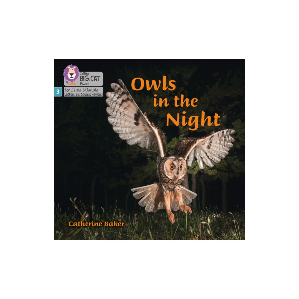 Produktbild för Owls in the Night (häftad, eng)