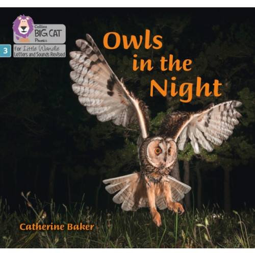 HarperCollins Publishers Owls in the Night (häftad, eng)