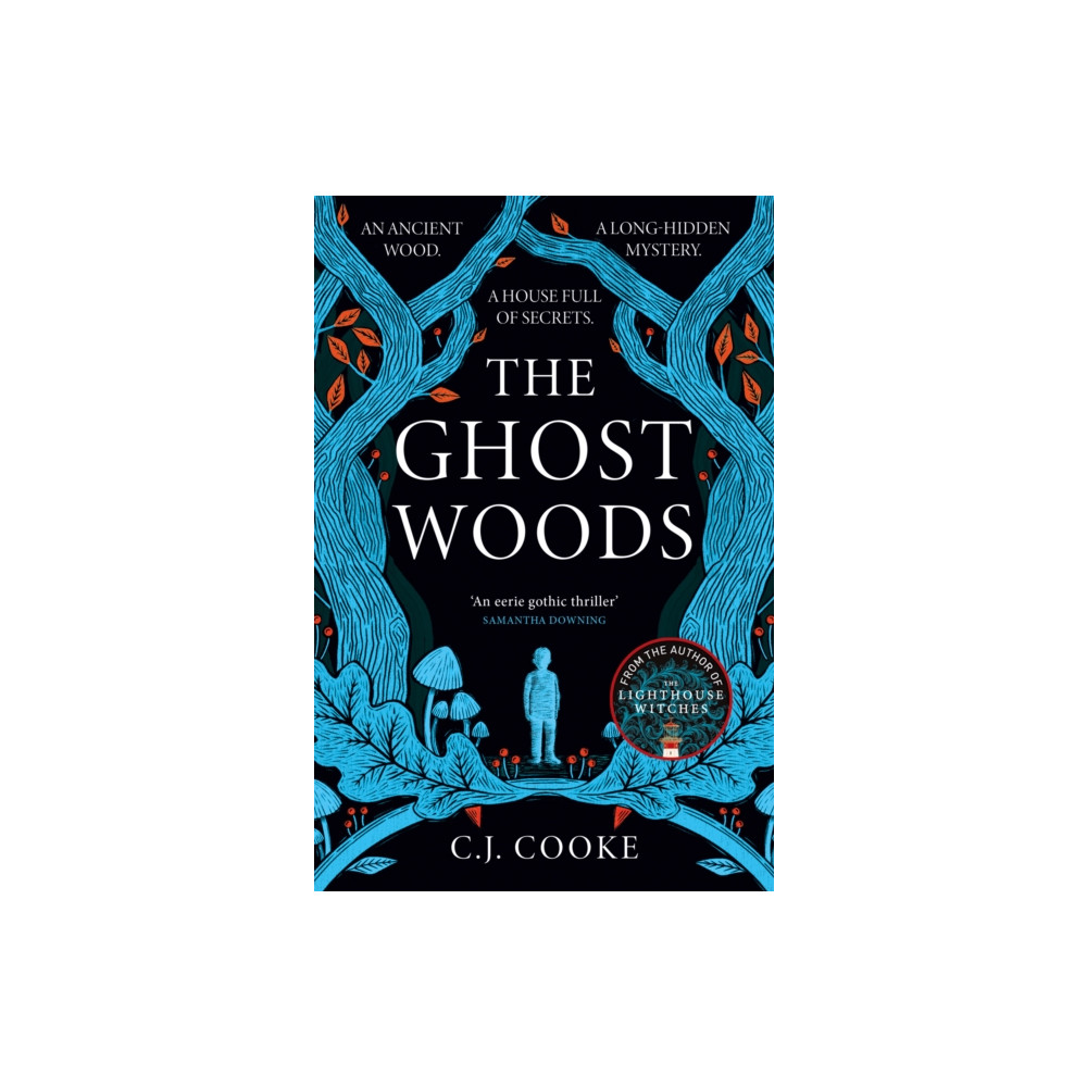 Produktbild för The Ghost Woods (häftad, eng)