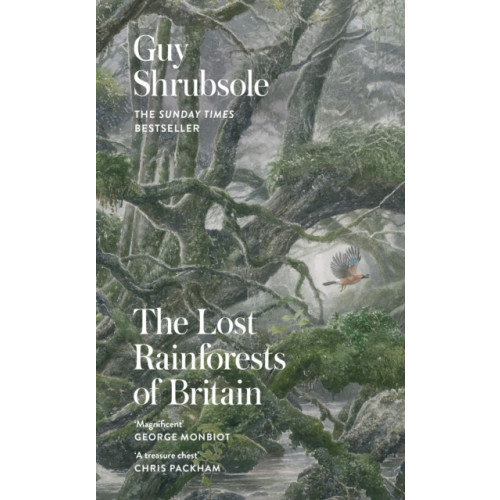 HarperCollins Publishers The Lost Rainforests of Britain (inbunden, eng)