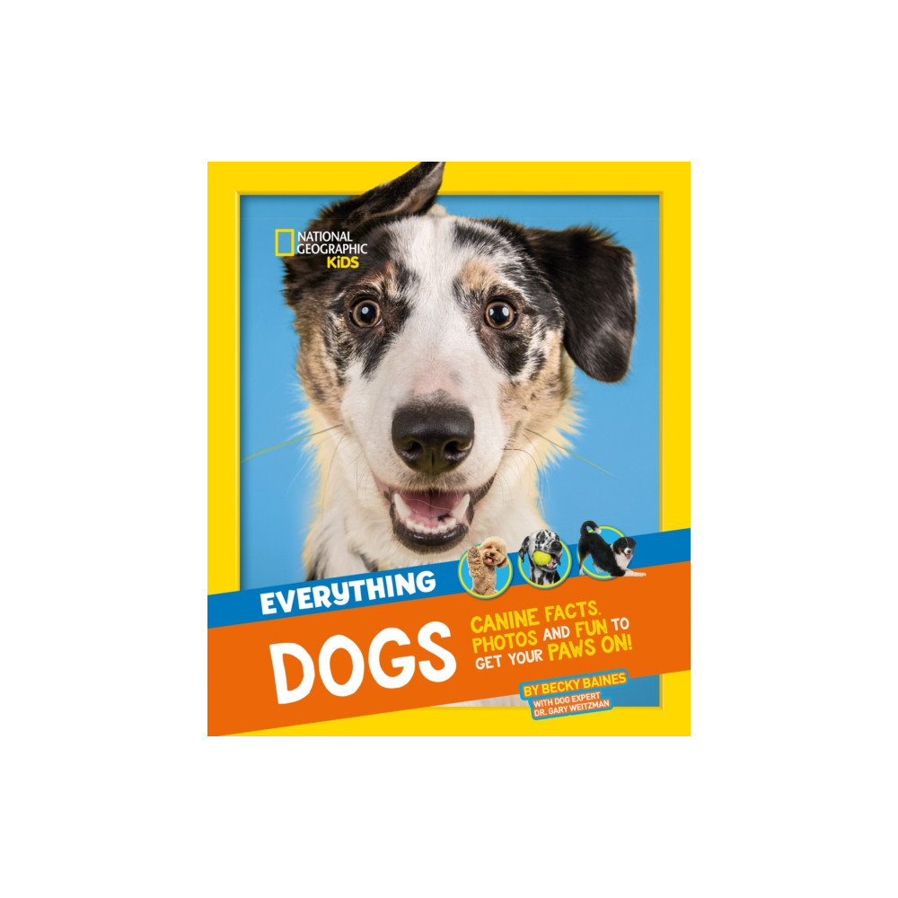 Produktbild för Everything: Dogs (häftad, eng)
