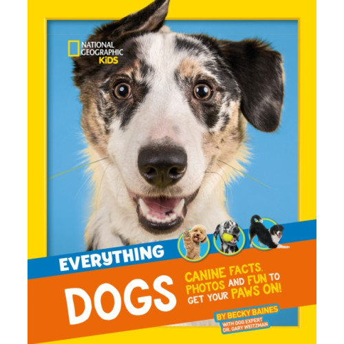 HarperCollins Publishers Everything: Dogs (häftad, eng)