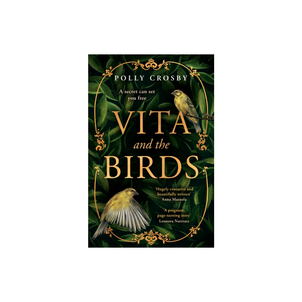 Produktbild för Vita and the Birds (häftad, eng)