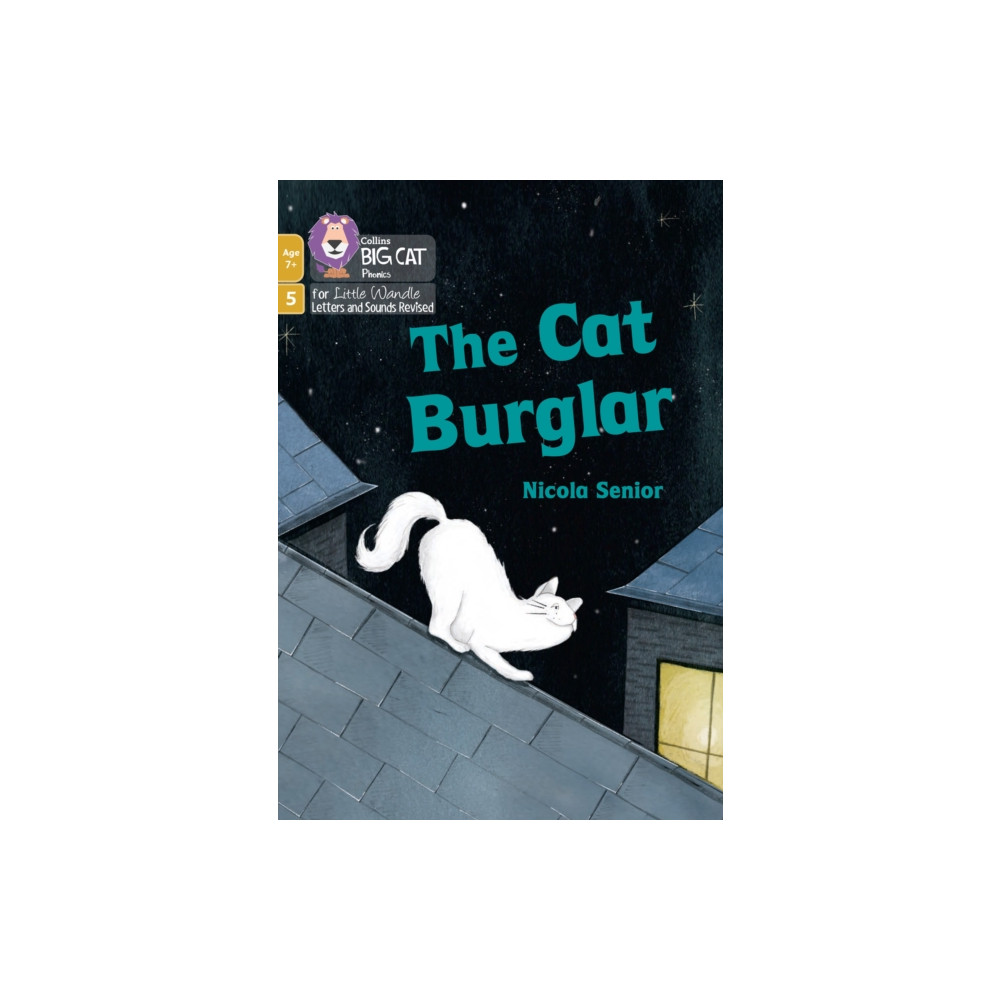 Produktbild för The Cat Burglar (häftad, eng)