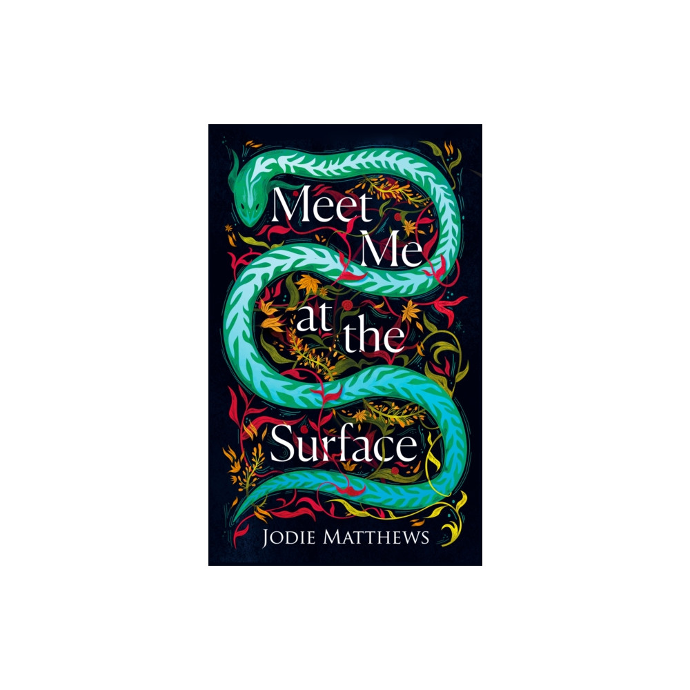 Produktbild för Meet Me at the Surface (häftad, eng)