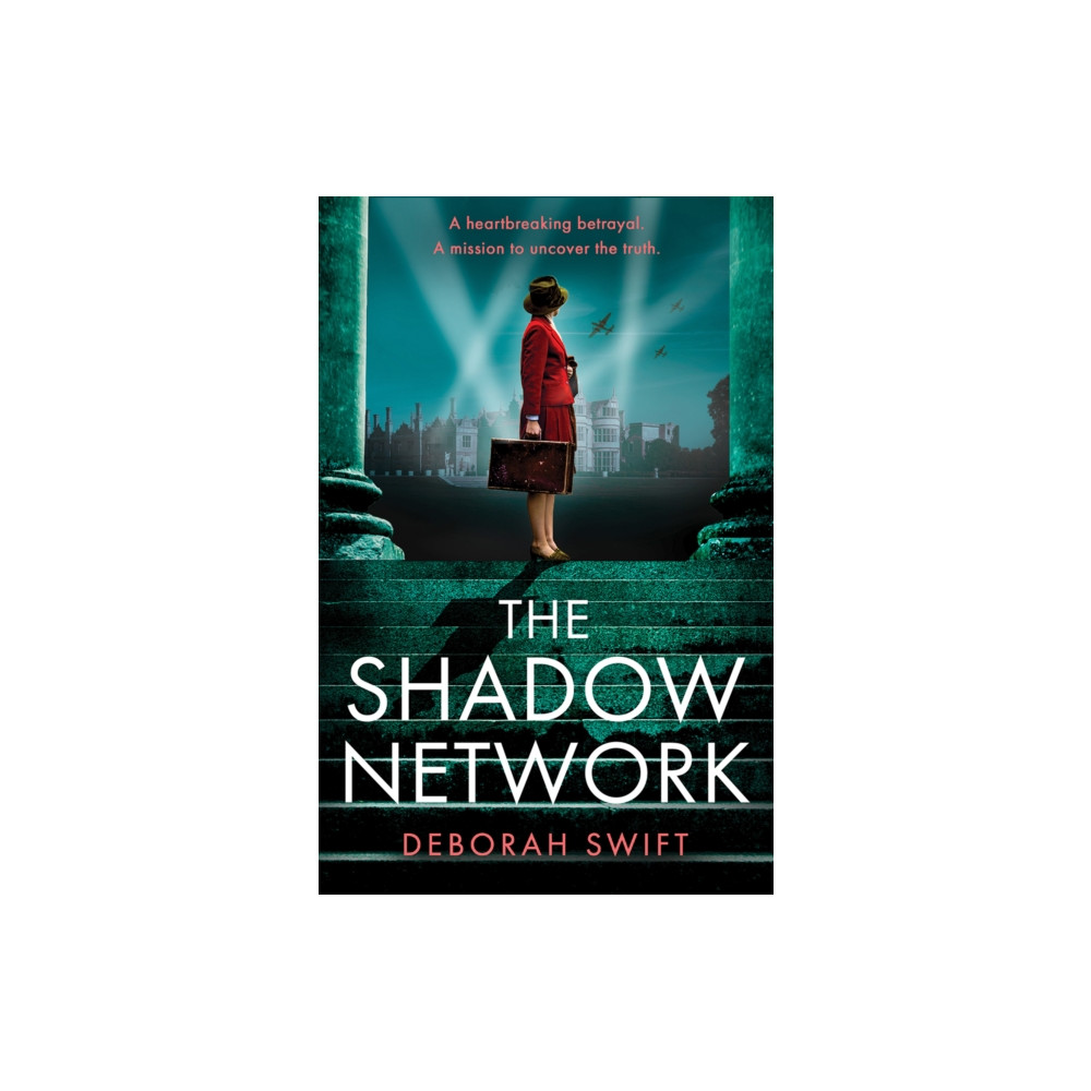 Produktbild för The Shadow Network (häftad, eng)