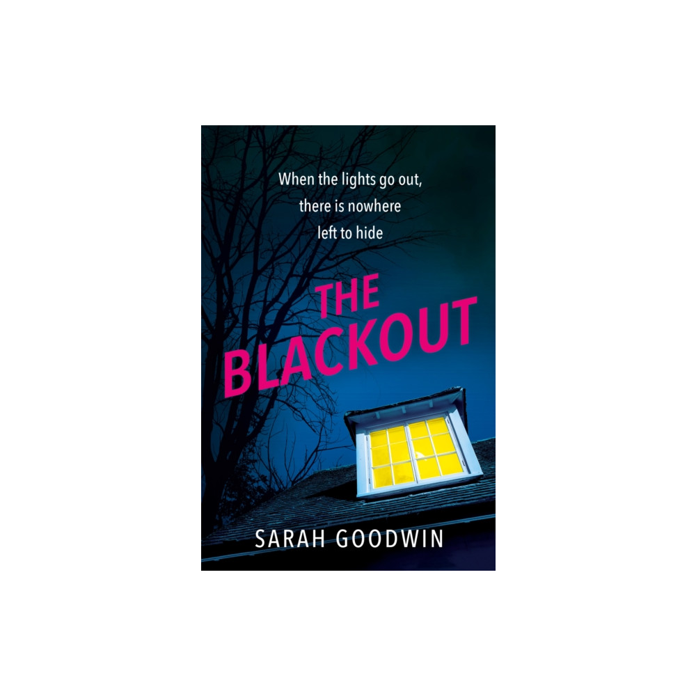 Produktbild för The Blackout (häftad, eng)