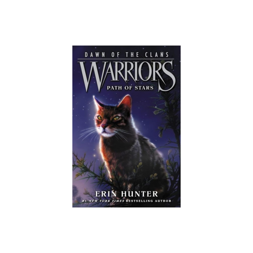 Produktbild för Warriors: Dawn of the Clans #6: Path of Stars (häftad, eng)