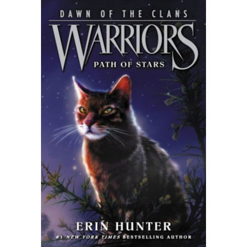 Harpercollins publishers inc Warriors: Dawn of the Clans #6: Path of Stars (häftad, eng)