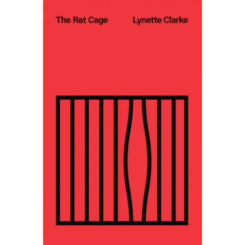 Austin Macauley Publishers The Rat Cage (häftad, eng)