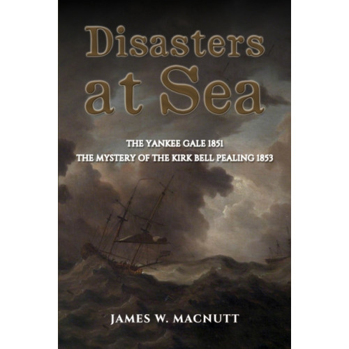 Austin Macauley Publishers LLC Disasters at Sea (häftad, eng)