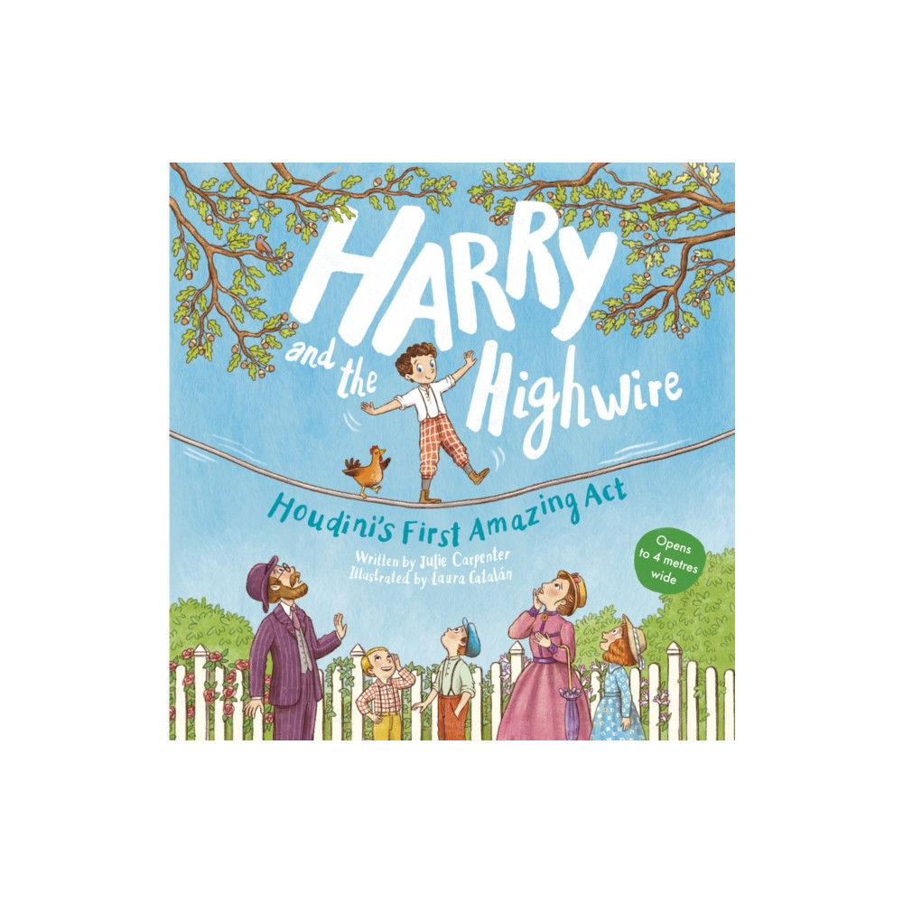 Produktbild för Harry and the Highwire (häftad, eng)