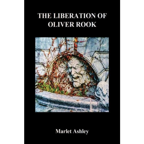 Austin Macauley Publishers LLC The Liberation of Oliver Rook (häftad, eng)