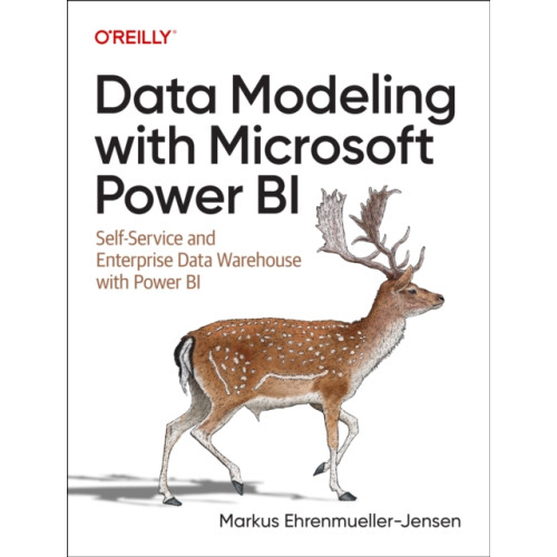 O'Reilly Media Data Modeling with Microsoft Power BI (häftad, eng)