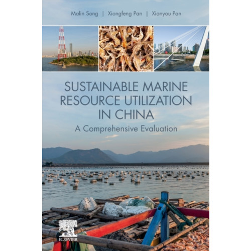 Elsevier Science Publishing Co Inc Sustainable Marine Resource Utilization in China (häftad, eng)