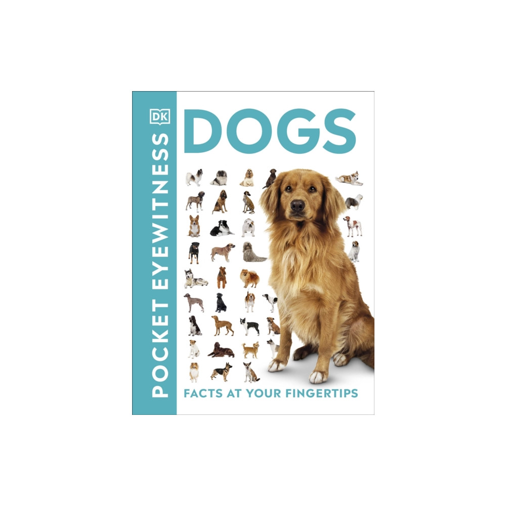 Produktbild för Pocket Eyewitness Dogs (häftad, eng)
